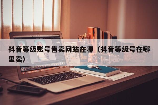 抖音等级账号售卖网站在哪（抖音等级号在哪里卖）(图1)