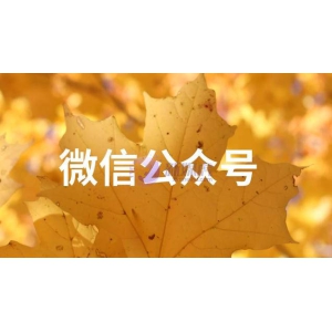 微信公众号设计风格